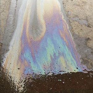 Meet your Posher, Sydney